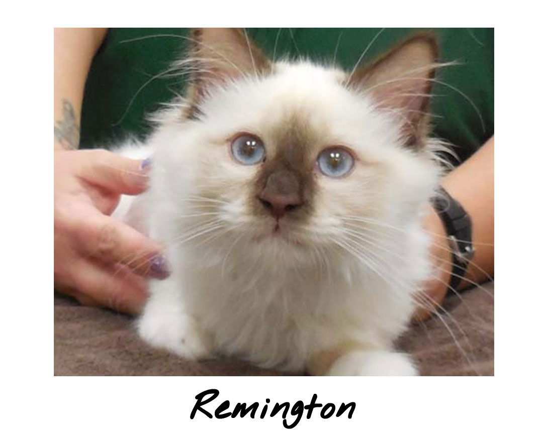 Remington