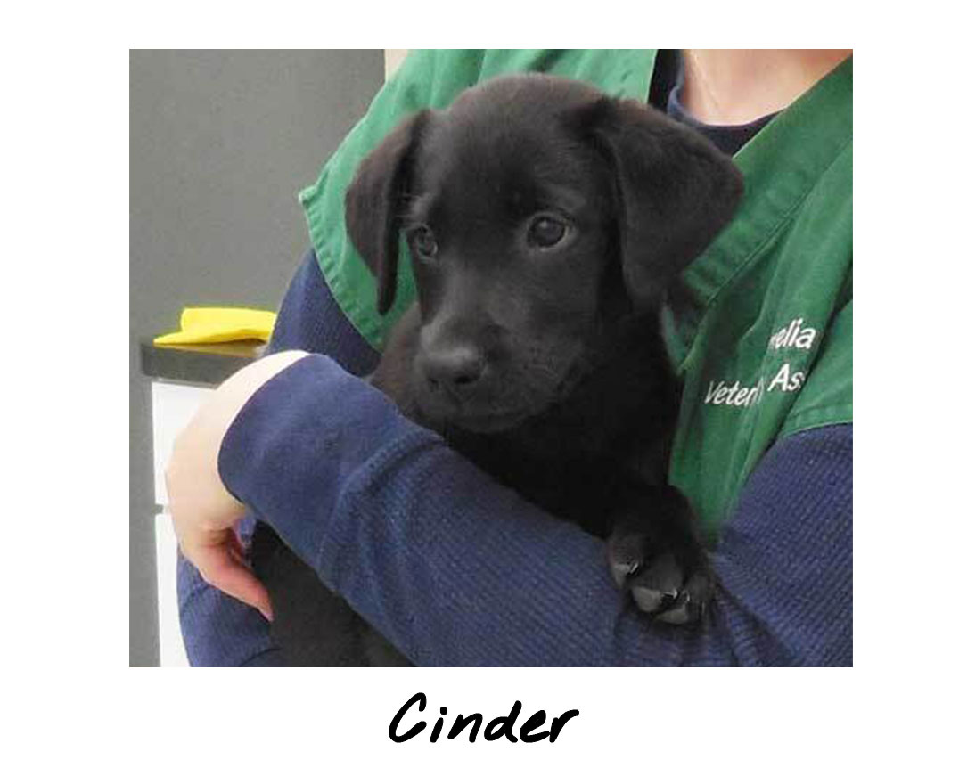 Cinder