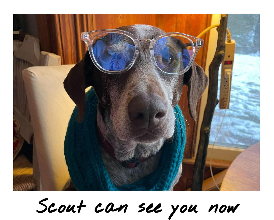 Scout can see you now