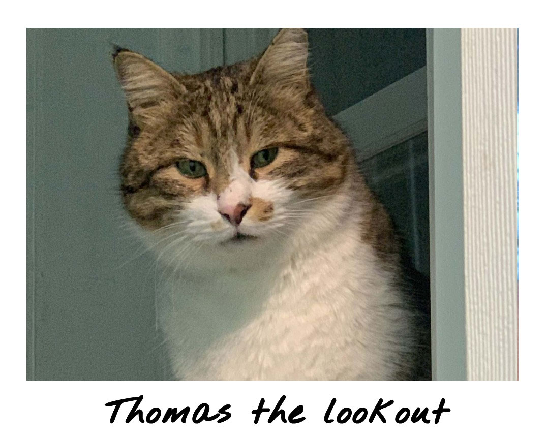 Thomas the lookout